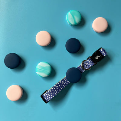 Air tag holder on step in dog collar