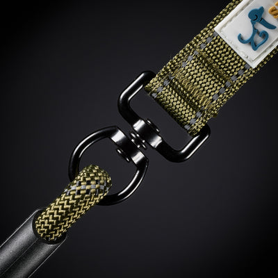 Close-up of a green woven dog lead strap with a metal buckle on a black background