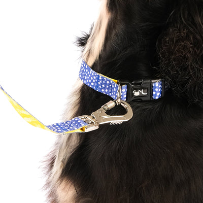 The Minnie polka dot blue Dog lead with Carabiner clip - cocker spaniel