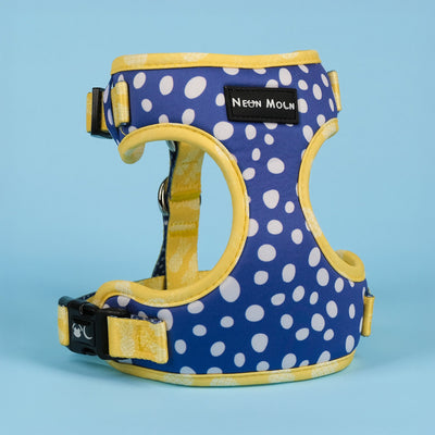 The Minnie mesh adjustable neoprene harness polka dot blue size medium