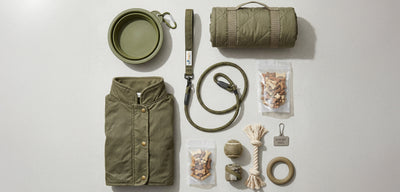 Dog Travel Essentials You Need to Pack