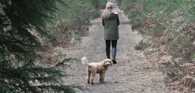 How Long Should I Walk My Dog Based on Age