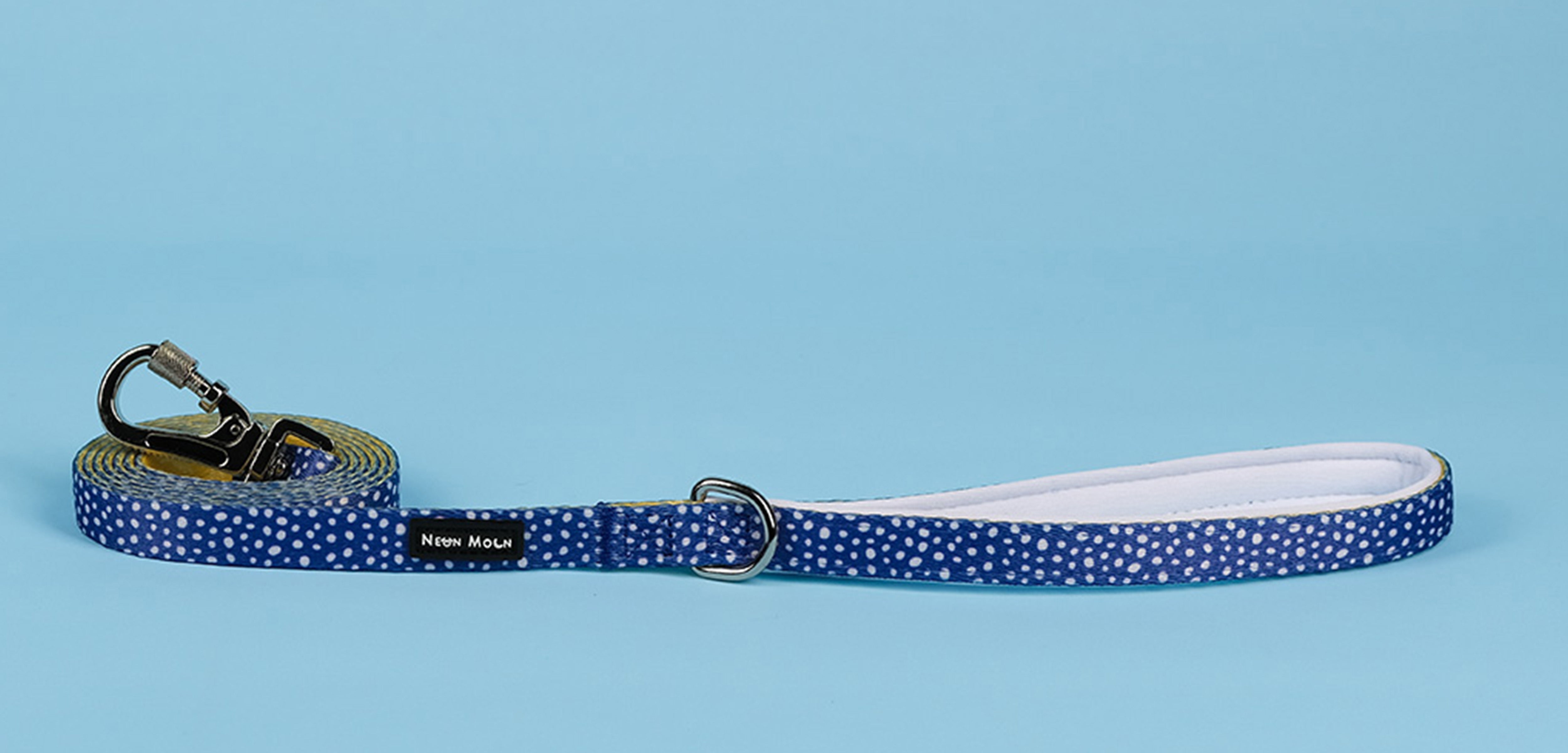 Dog Lead Lengths Explained: UK Expert Guidelines