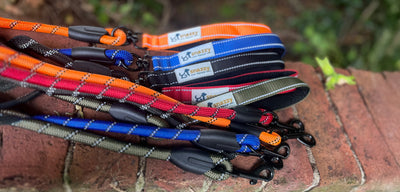 5 different coloured rope dog leads with a clip laying on a wall