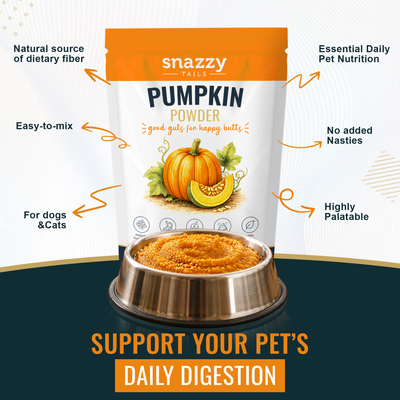 Sazzy Tails Pumpkin Powder packaging with a bowl of pumpkin powder on a blue background