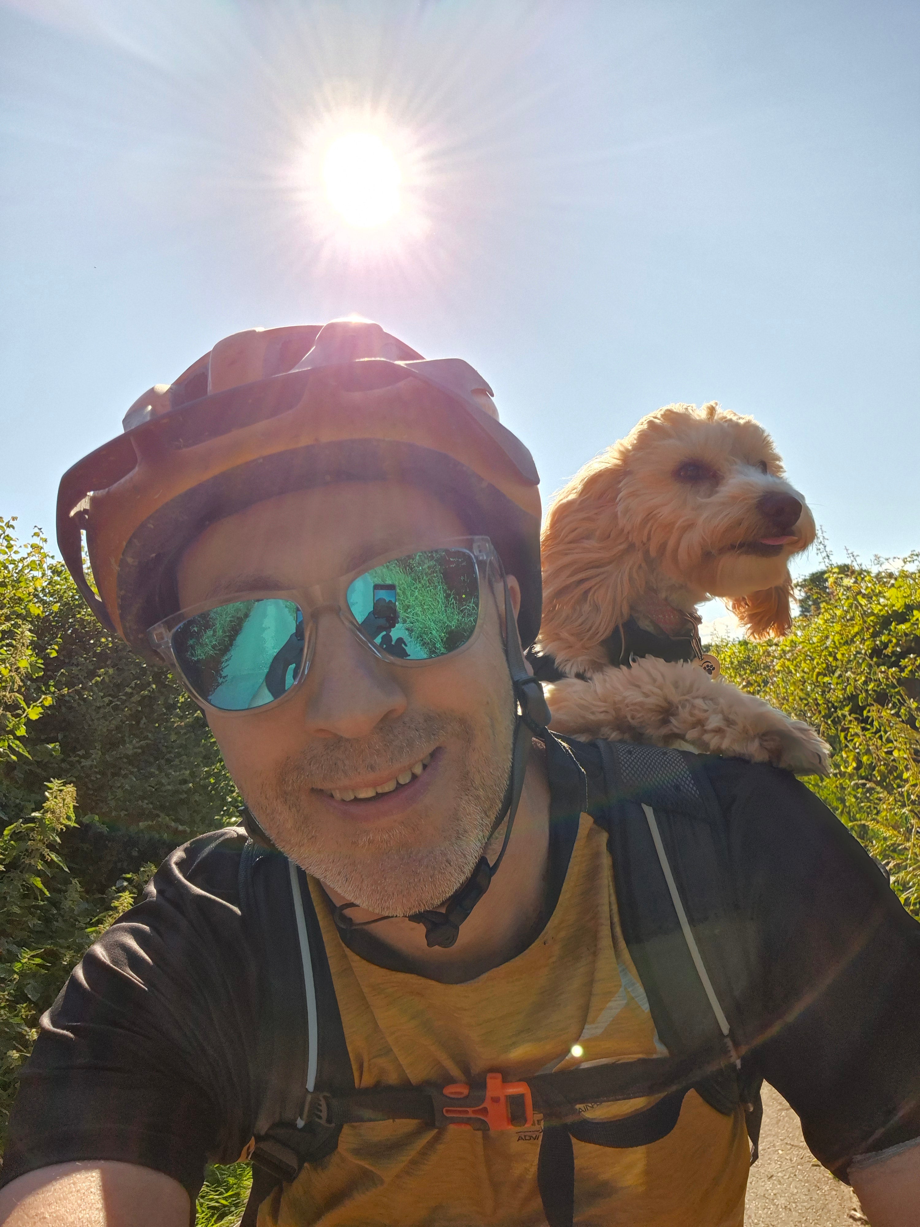 Dog in a bike backpack