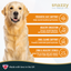 Dog with 'snazzy Tails' pumpkin powder health benefits description on a white background