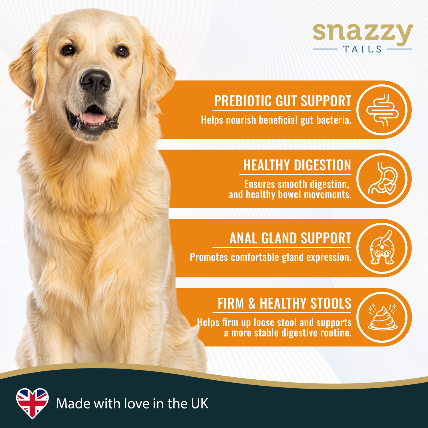 Dog with 'snazzy Tails' pumpkin powder health benefits description on a white background