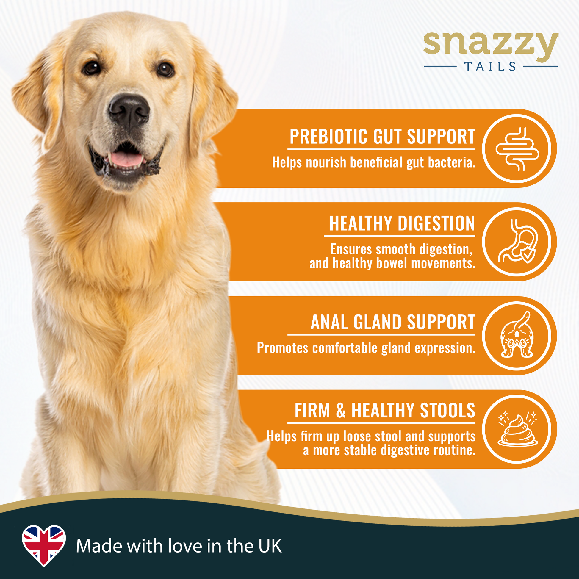 Dog with 'snazzy Tails' pumpkin powder health benefits description on a white background