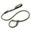 Green dog leash with metal clip on a white background