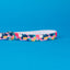 Floral-patterned dog collar on a blue background