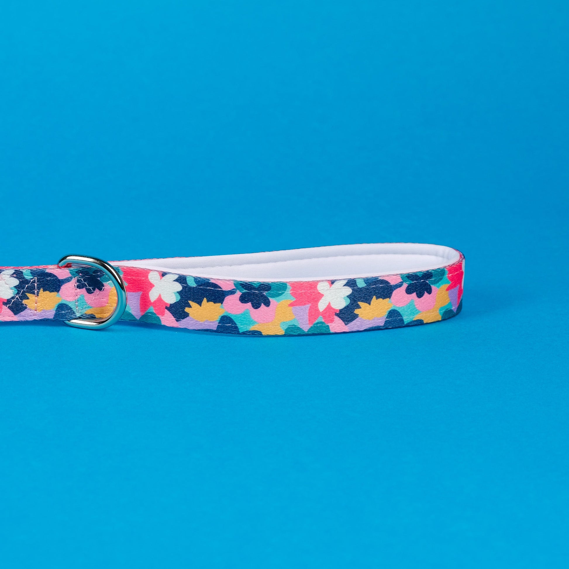 Floral-patterned dog collar on a blue background