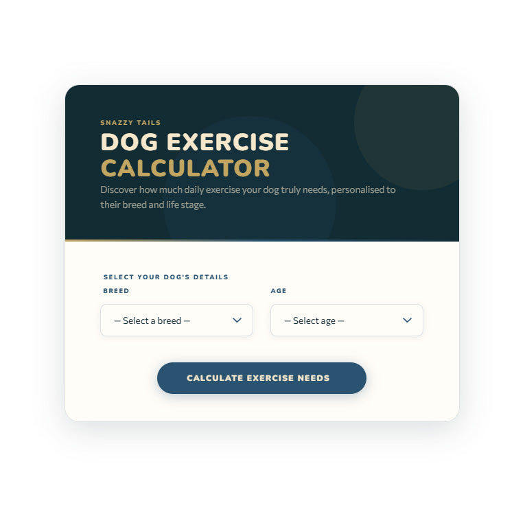 Dog exercise calculator