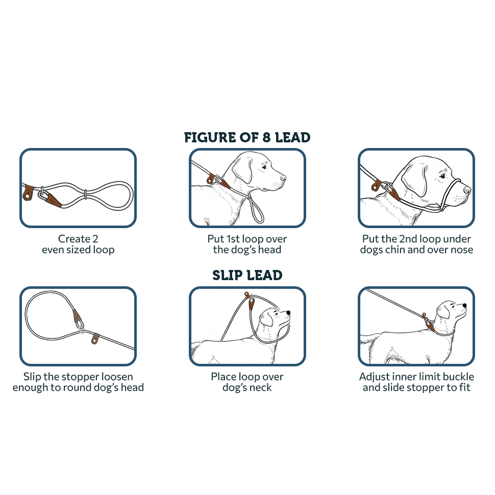 How to fit your Freedom Pro lead in either the figure of 8 style or the classic slip lead way.