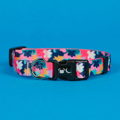 Floral Print Luna Dog Collar