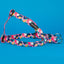 Multicoloured step in dog harness for small dogs