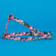 Multicoloured step in dog harness for large dogs