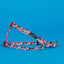 small Multicoloured step in dog harness