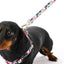floral dog lead carabiner clip dachshund safe fun