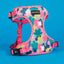 Floral Print Luna Mesh Harness for small dogs