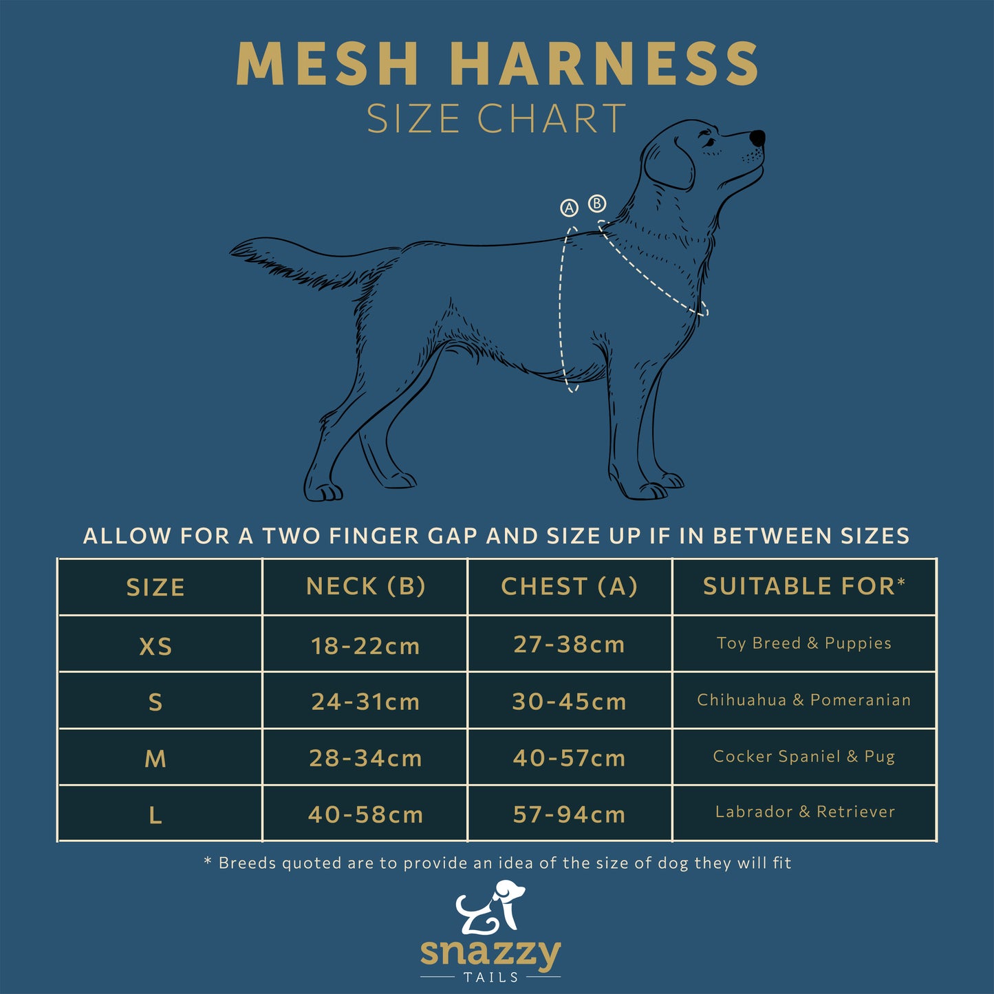 The Willow Mesh Harness