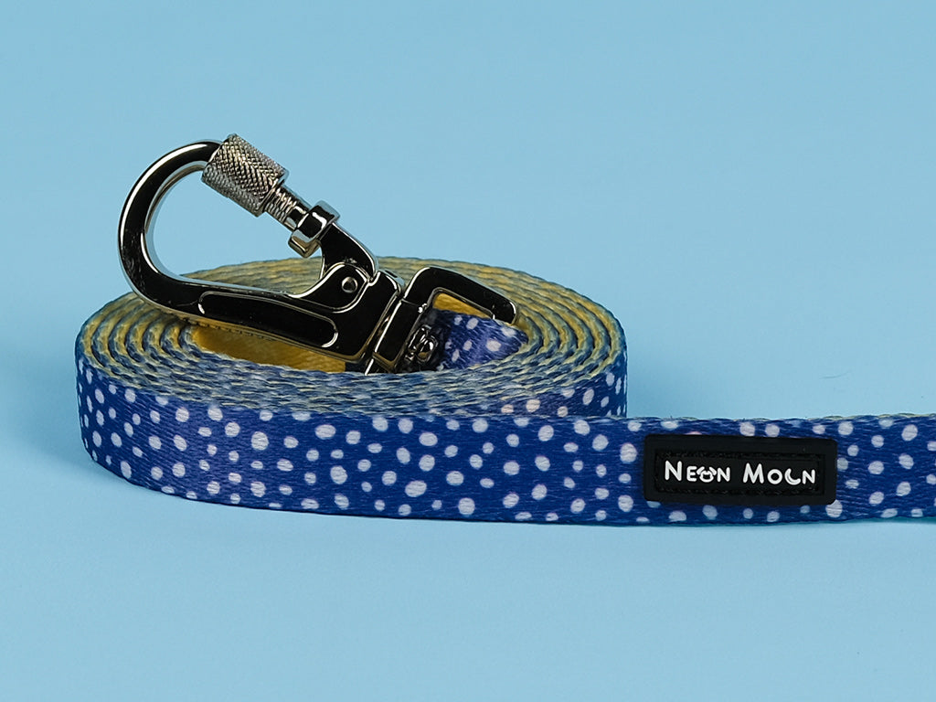 The Minnie polka dot blue Dog lead with Carabiner clip 
