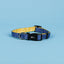 Blue Polka Dot Minnie Dog Collar for medium dogs