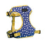 The Minnie Mesh Harness