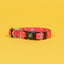 red chevron dog collar for small dogs