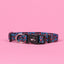 Blue Leopard Print Willow Dog Collar